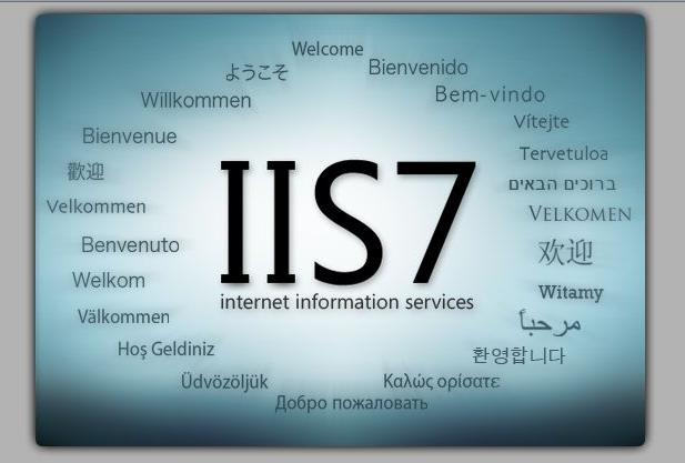 Windows服务器中IIS返回的网页错误代码大汇总及原因解